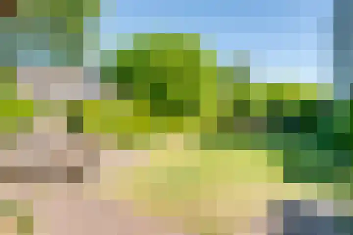 Kruisstraat 5 Dieren thumbnail 40