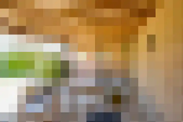 Kruisstraat 5 Dieren thumbnail 41