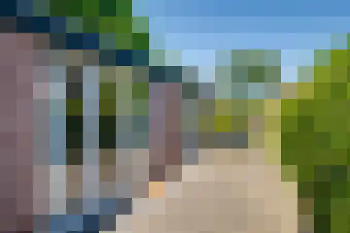 Kruisstraat 5 Dieren thumbnail 42