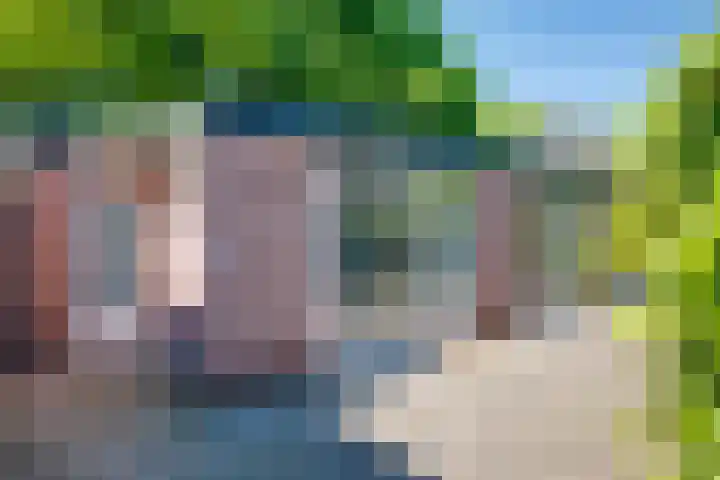 Kruisstraat 5 Dieren thumbnail 43