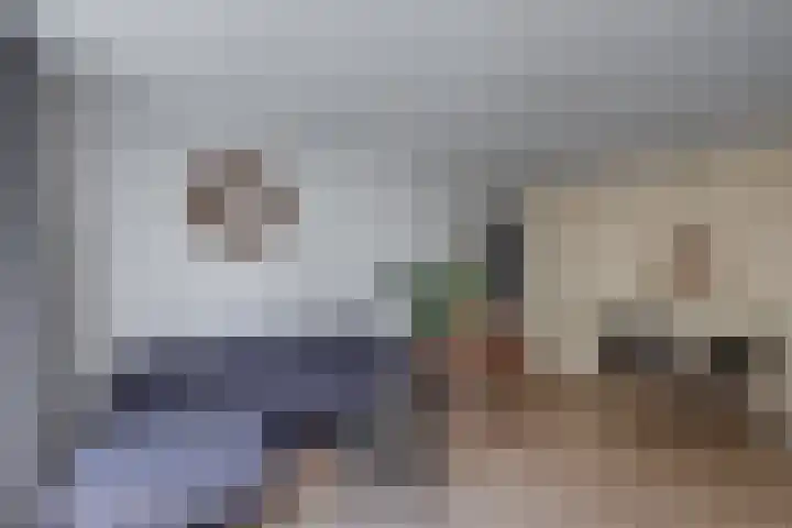 Kruisstraat 5 Dieren thumbnail 44