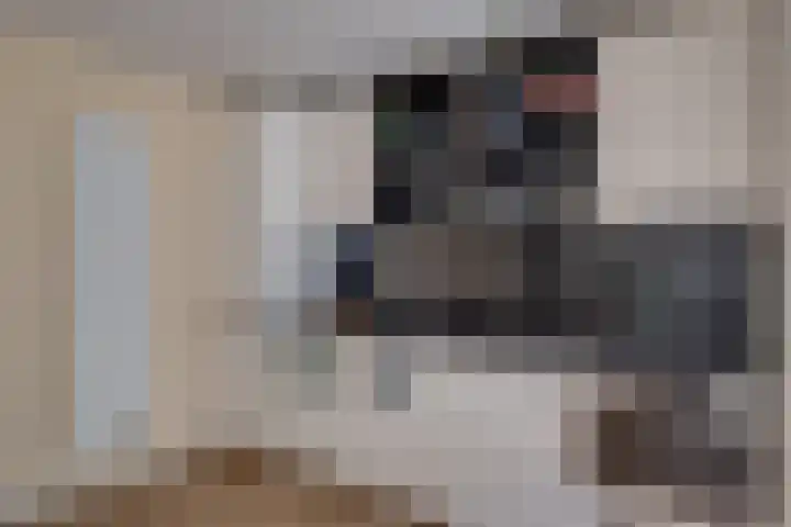 Kruisstraat 5 Dieren thumbnail 46