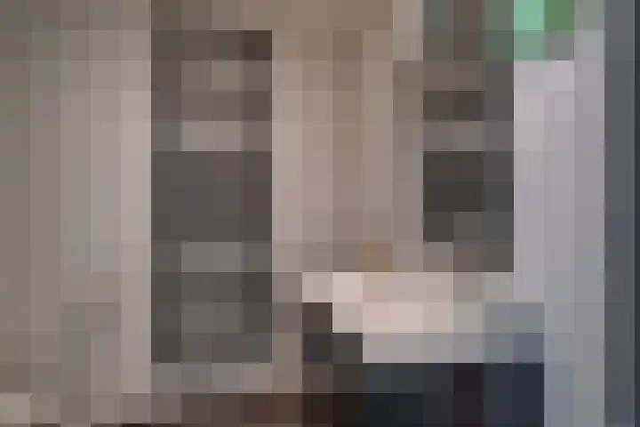 Kruisstraat 5 Dieren thumbnail 48
