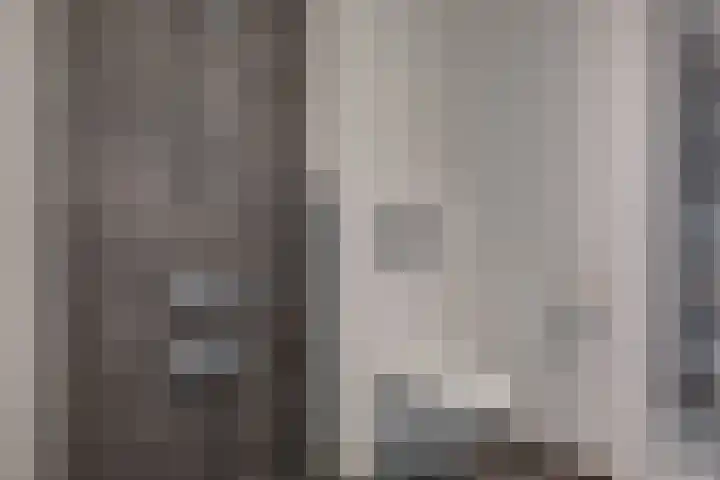Kruisstraat 5 Dieren thumbnail 49