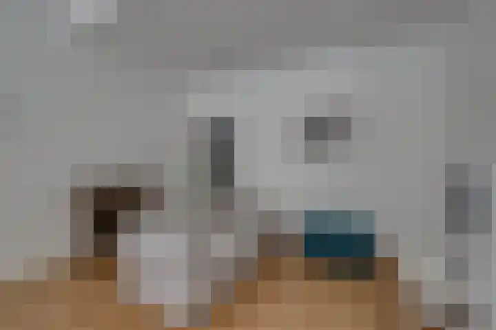 Kruisstraat 5 Dieren thumbnail 5