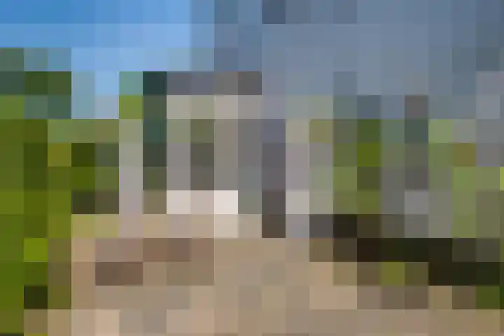 Kruisstraat 5 Dieren thumbnail 52