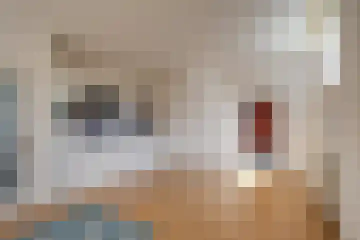 Kruisstraat 5 Dieren thumbnail 54