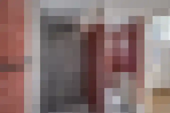 Kruisstraat 5 Dieren thumbnail 59