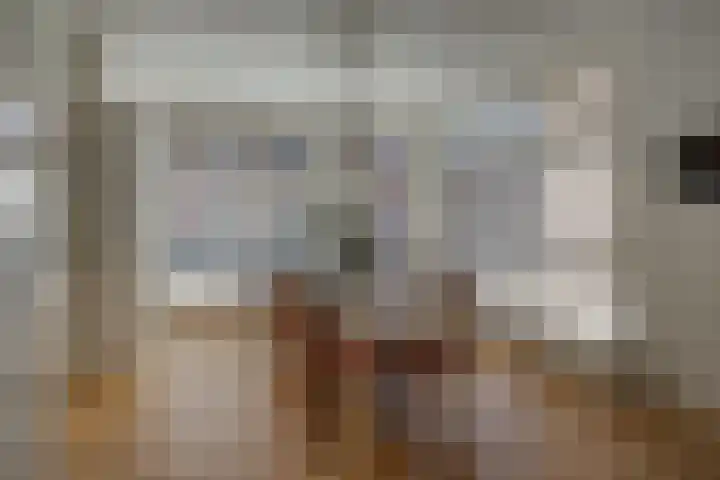 Kruisstraat 5 Dieren thumbnail 6