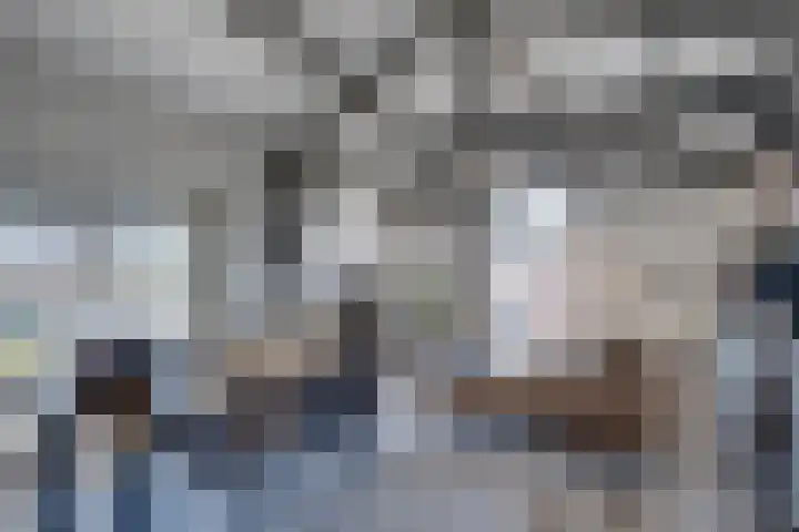 Kruisstraat 5 Dieren thumbnail 62