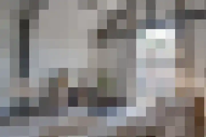 Kruisstraat 5 Dieren thumbnail 63