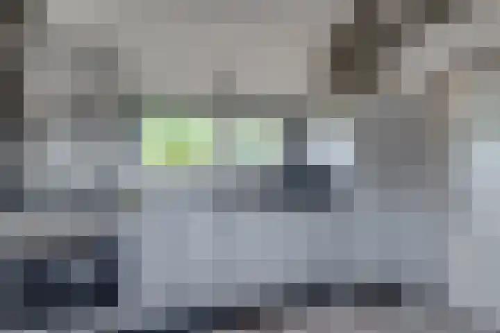 Kruisstraat 5 Dieren thumbnail 64