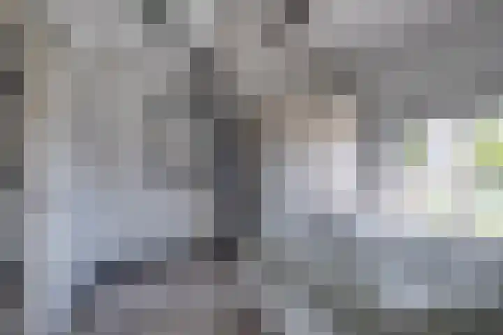 Kruisstraat 5 Dieren thumbnail 65