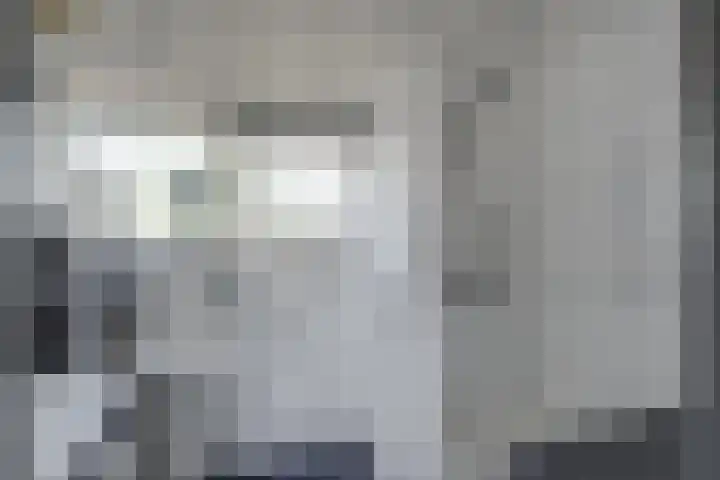 Kruisstraat 5 Dieren thumbnail 66