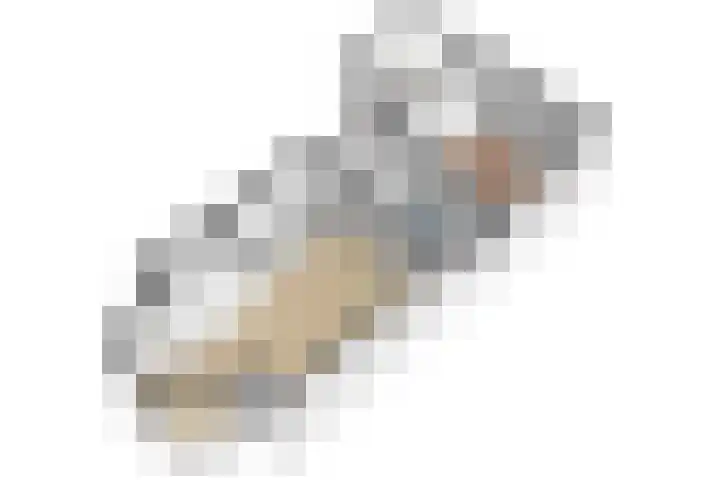 Kruisstraat 5 Dieren thumbnail 68