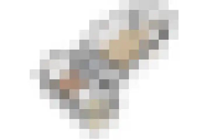 Kruisstraat 5 Dieren thumbnail 69