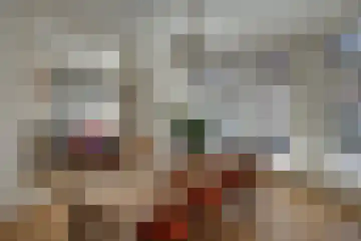 Kruisstraat 5 Dieren thumbnail 7