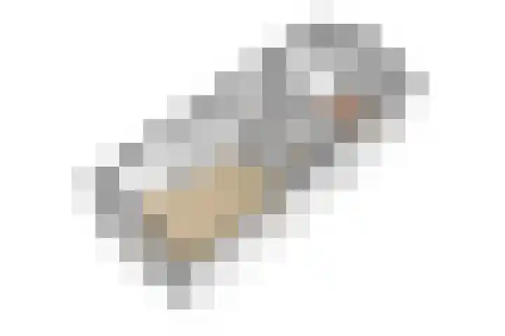 Kruisstraat 5 Dieren thumbnail 71