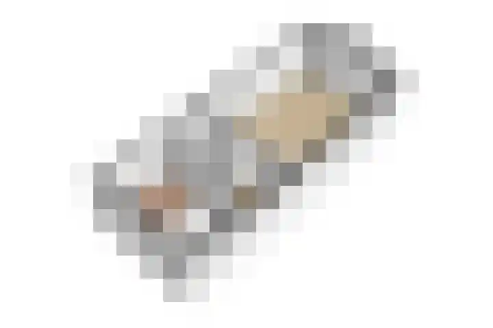 Kruisstraat 5 Dieren thumbnail 72
