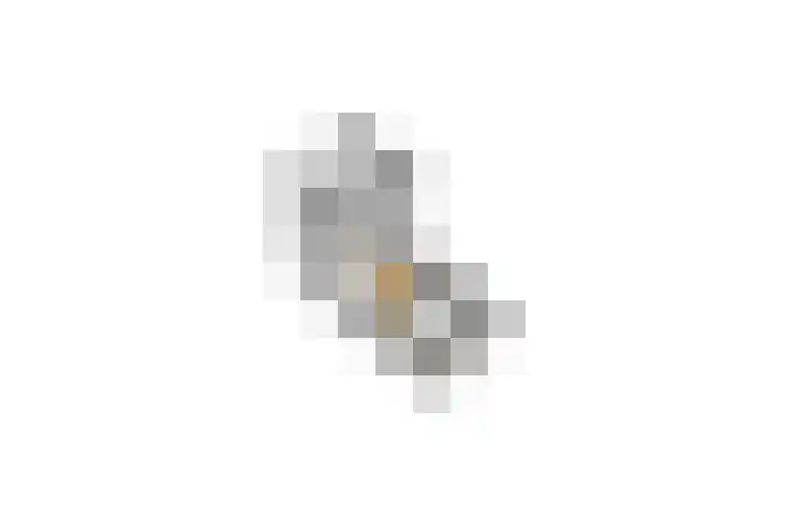 Kruisstraat 5 Dieren thumbnail 74
