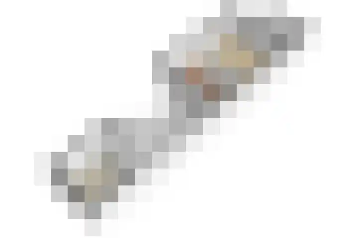 Kruisstraat 5 Dieren thumbnail 77