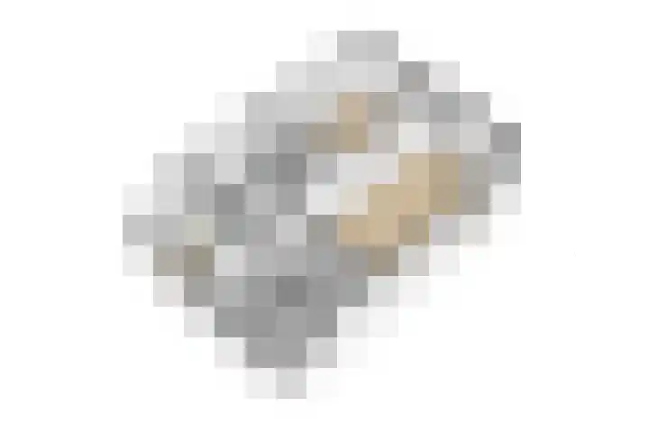Kruisstraat 5 Dieren thumbnail 79