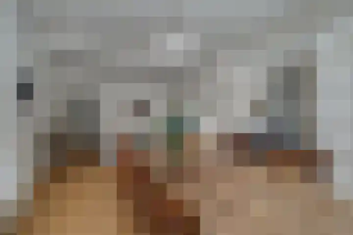 Kruisstraat 5 Dieren thumbnail 8