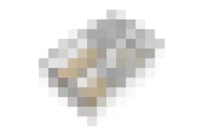 Kruisstraat 5 Dieren thumbnail 80