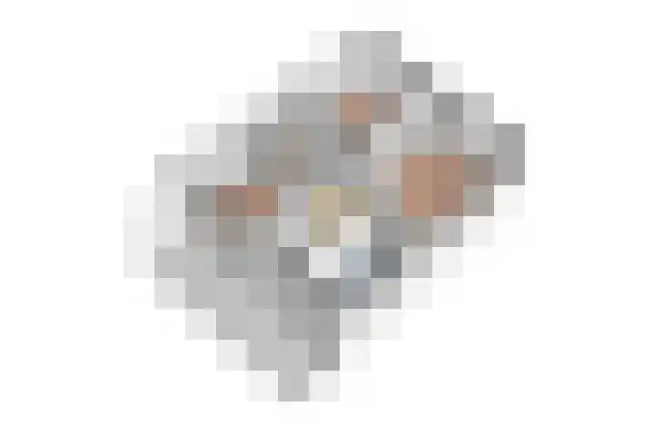 Kruisstraat 5 Dieren thumbnail 84