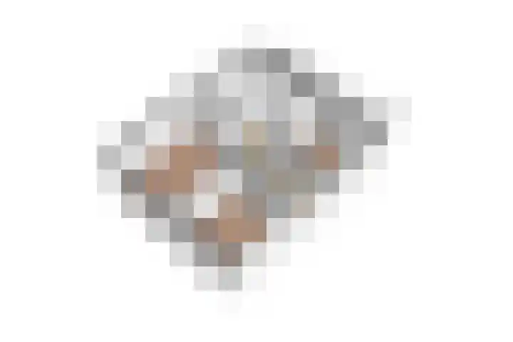 Kruisstraat 5 Dieren thumbnail 85