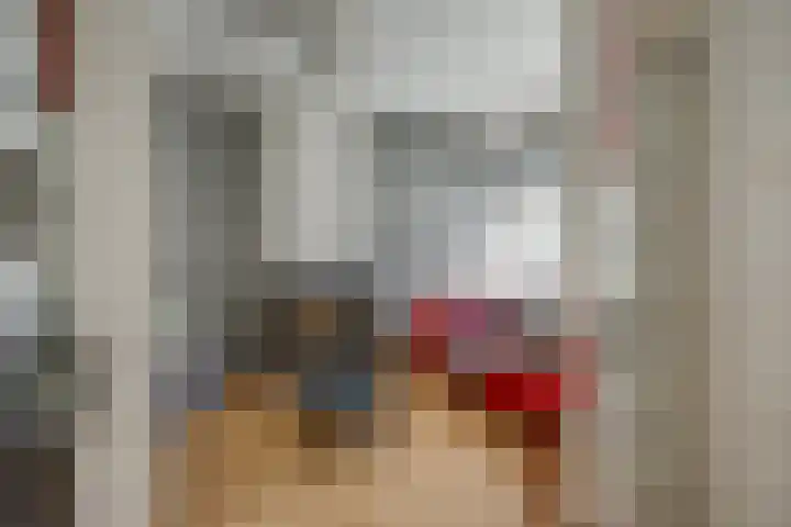 Kruisstraat 5 Dieren thumbnail 9