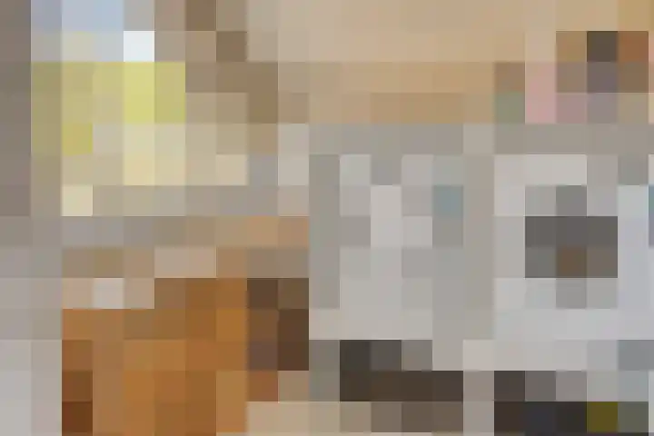 Kruisstraat 5 Nistelrode thumbnail 35