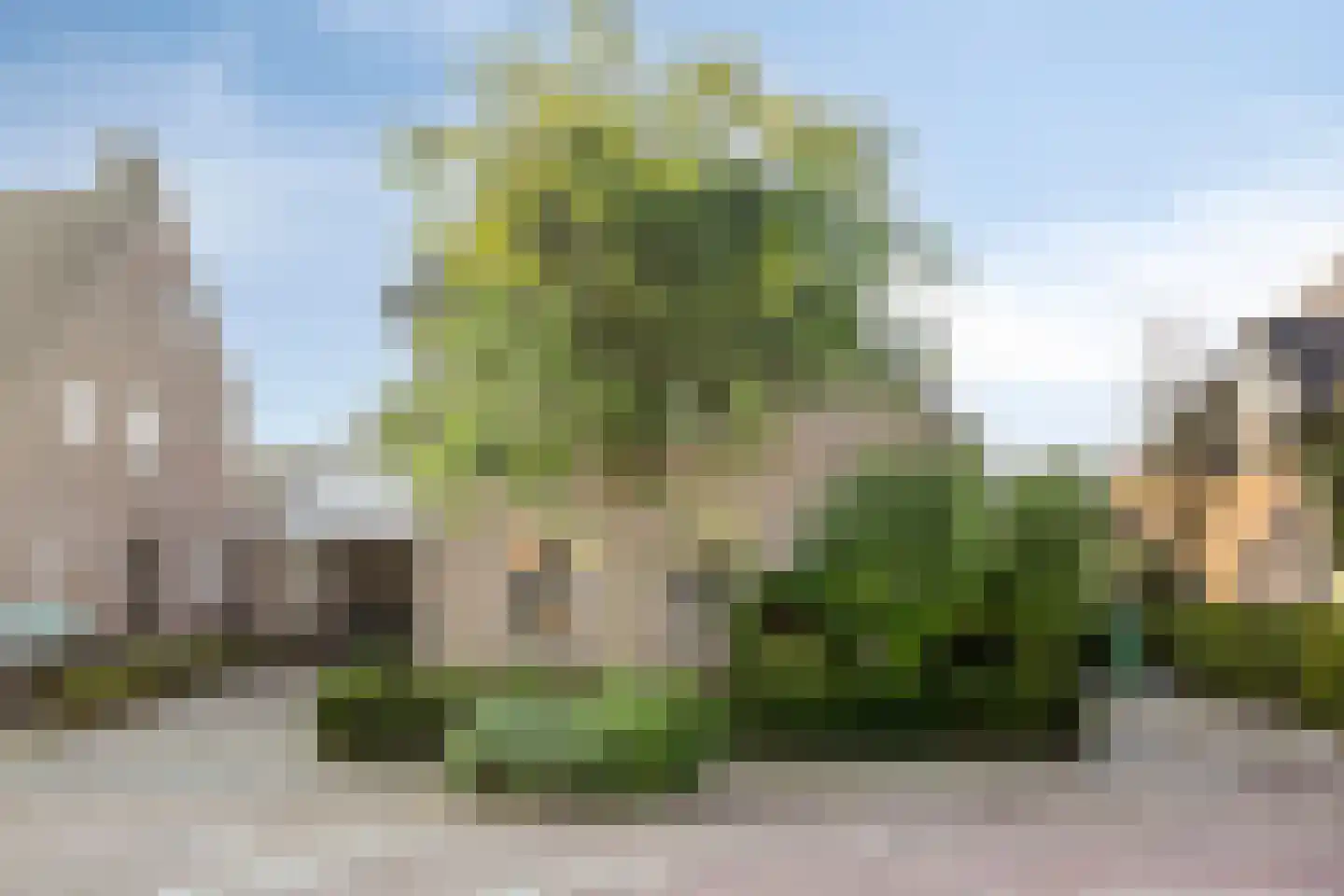 Kruisstraat 5 Nistelrode thumbnail 4