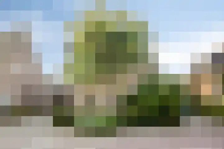 Kruisstraat 5 Nistelrode thumbnail 4
