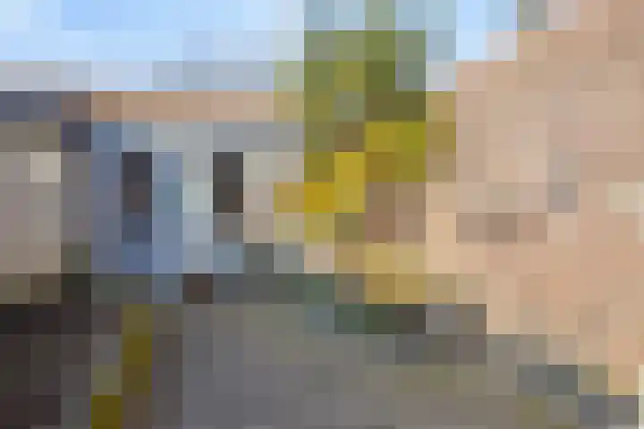 Kruisstraat 5 Tilburg thumbnail 30