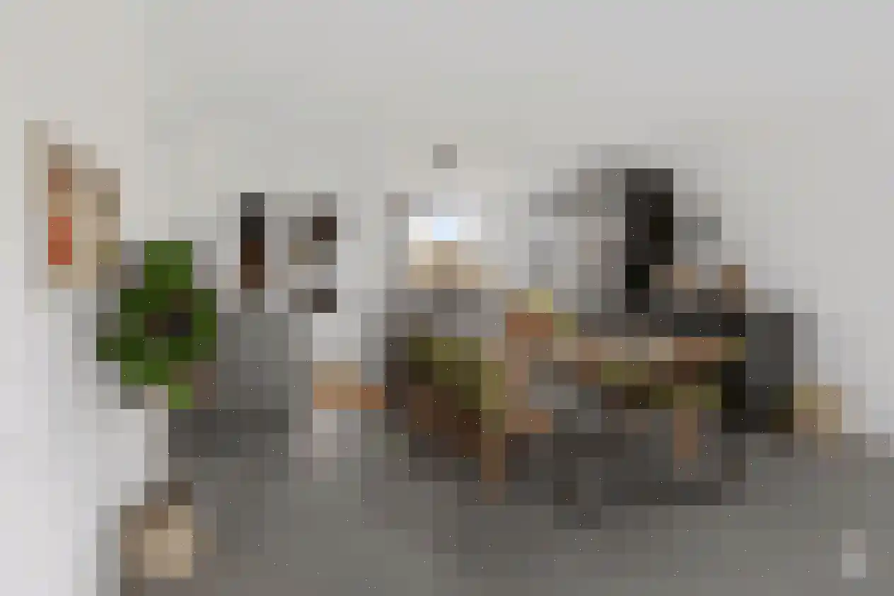 Kruisstraat 50 A Oss thumbnail 15