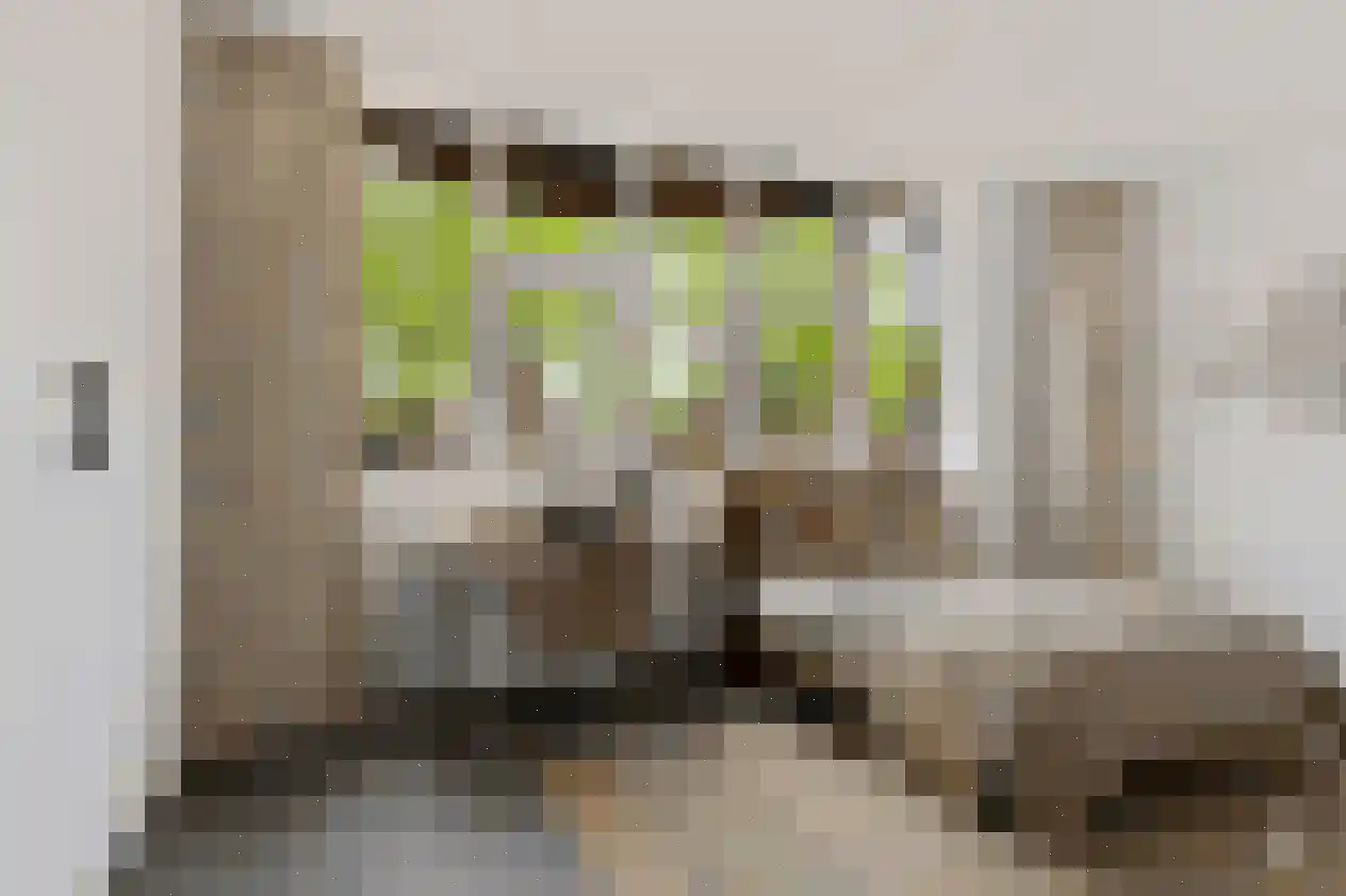 Kruisstraat 50 A Oss thumbnail 32