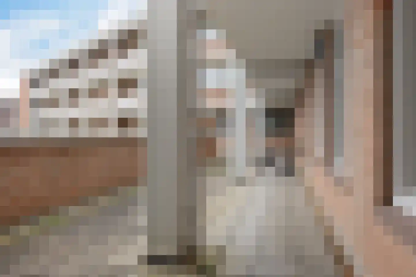 Kruisstraat 50 A Oss thumbnail 36