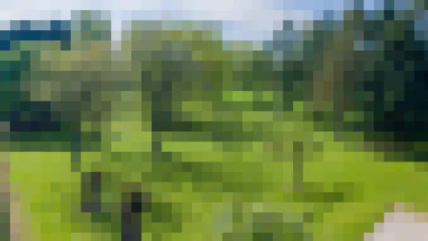 Kruisstraat 50 Gendt thumbnail 35