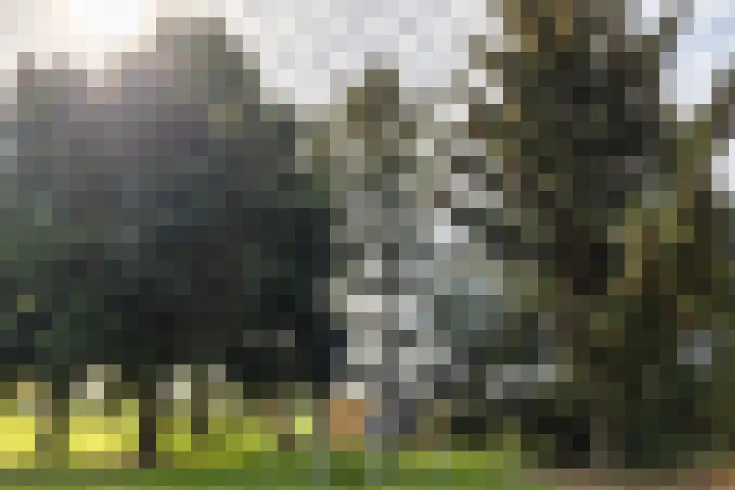 Kruisstraat 50 Gendt thumbnail 38