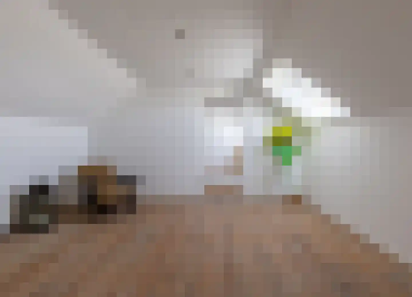Kruisstraat 50 Gendt thumbnail 47