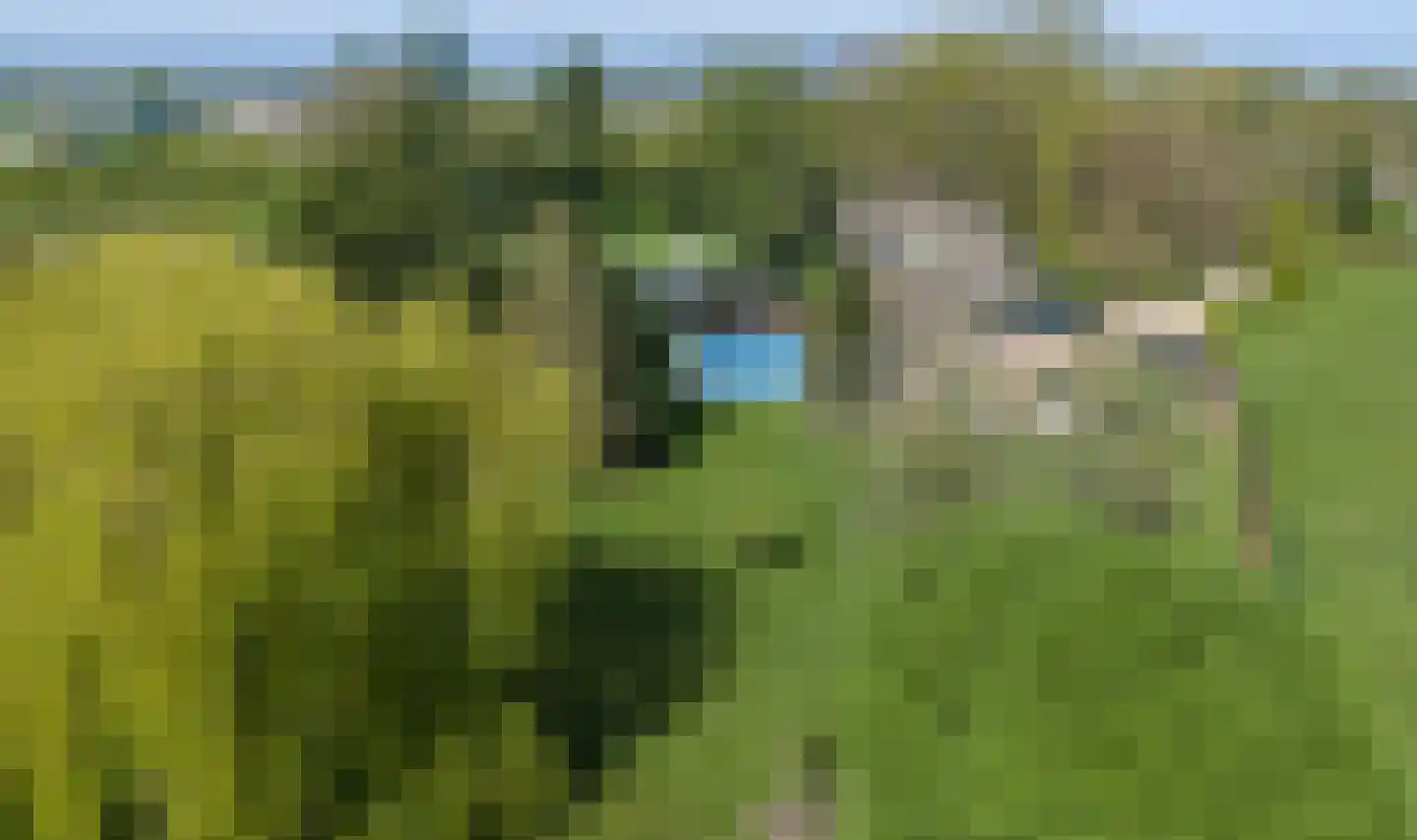 Kruisstraat 50 Gendt thumbnail 50