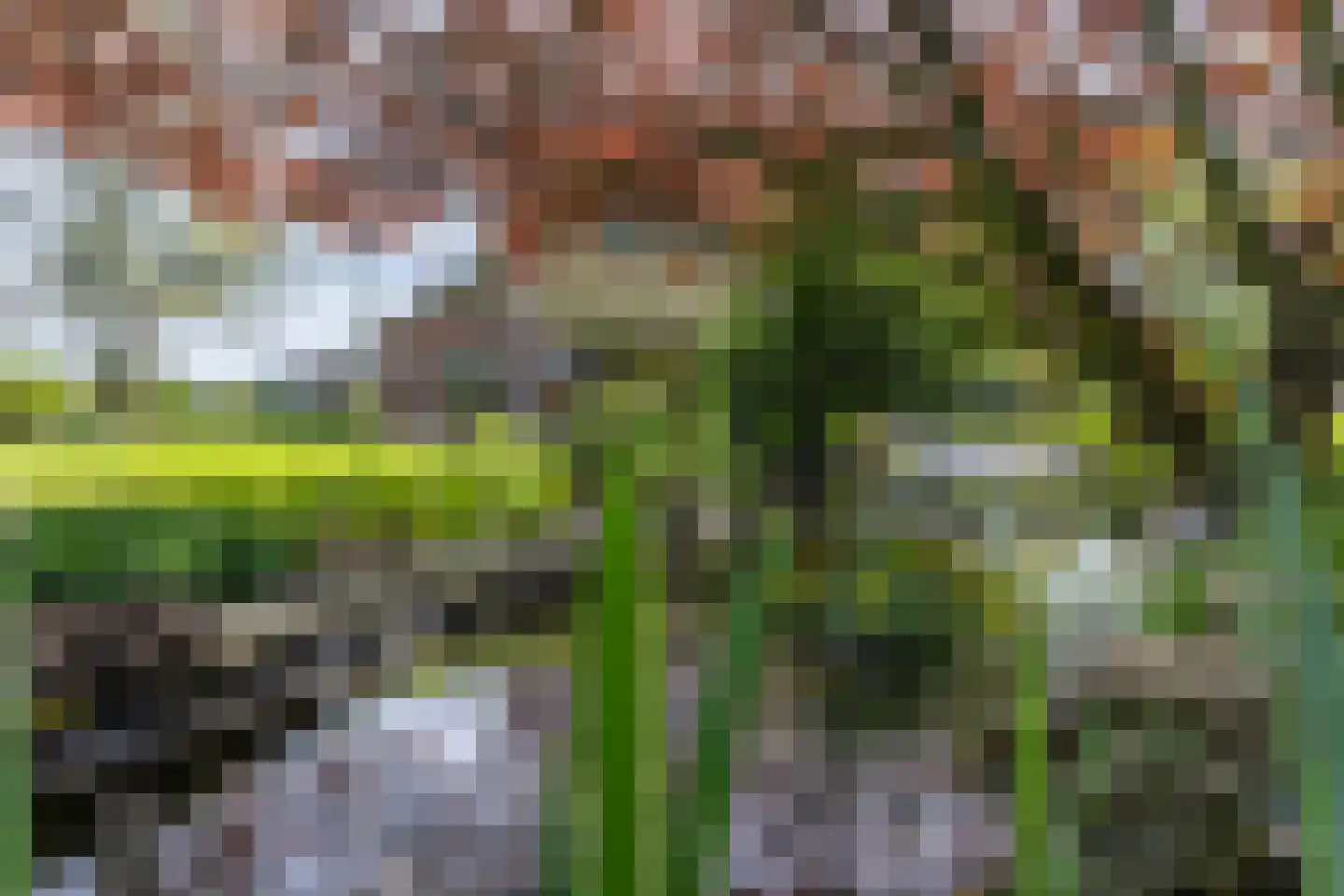 Kruisstraat 50 Gendt thumbnail 52