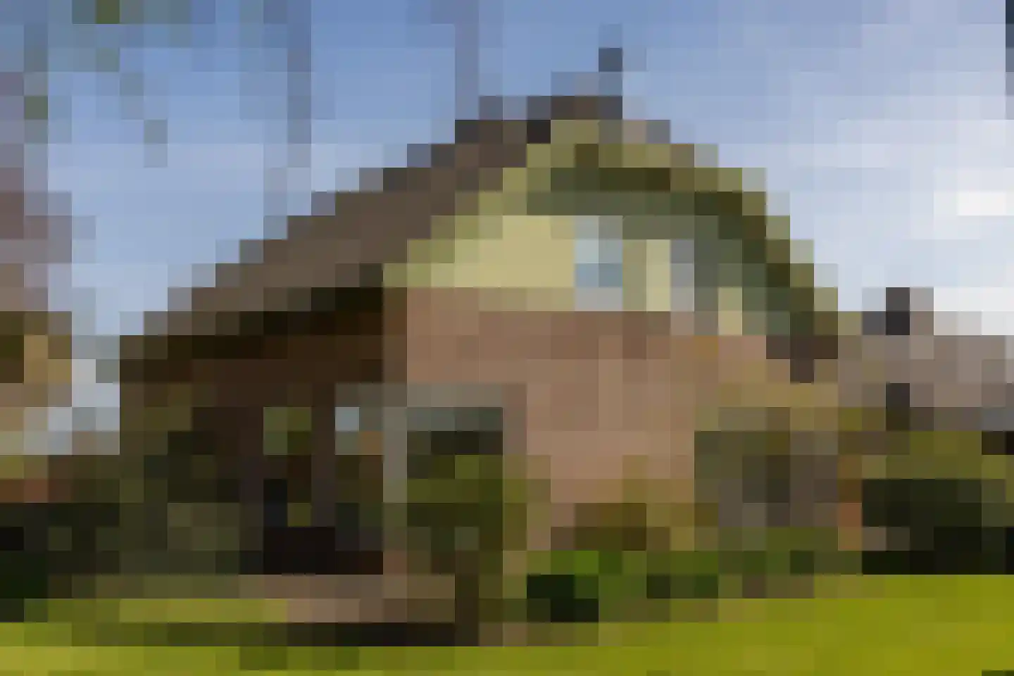 Kruisstraat 50 Gendt thumbnail 58