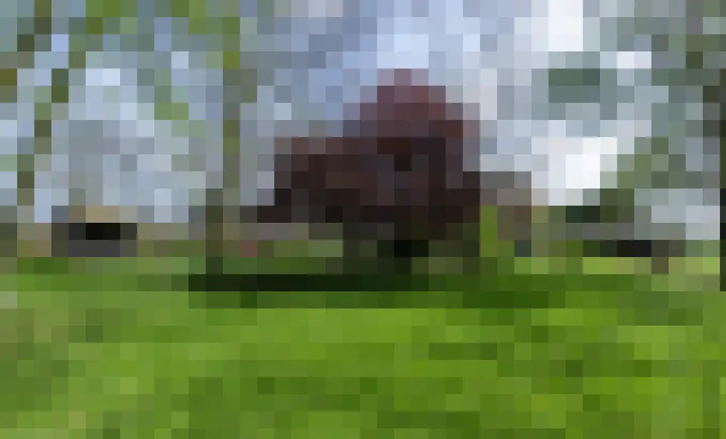 Kruisstraat 50 Gendt thumbnail 59