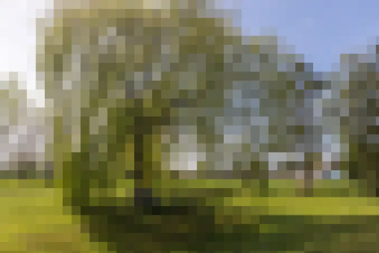 Kruisstraat 50 Gendt thumbnail 60