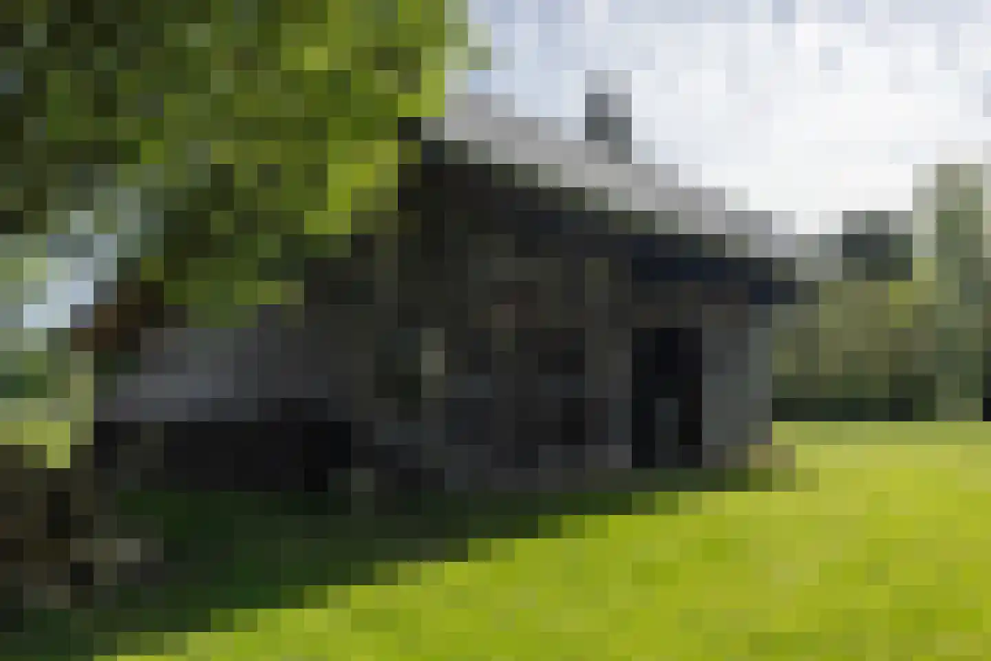 Kruisstraat 50 Gendt thumbnail 61