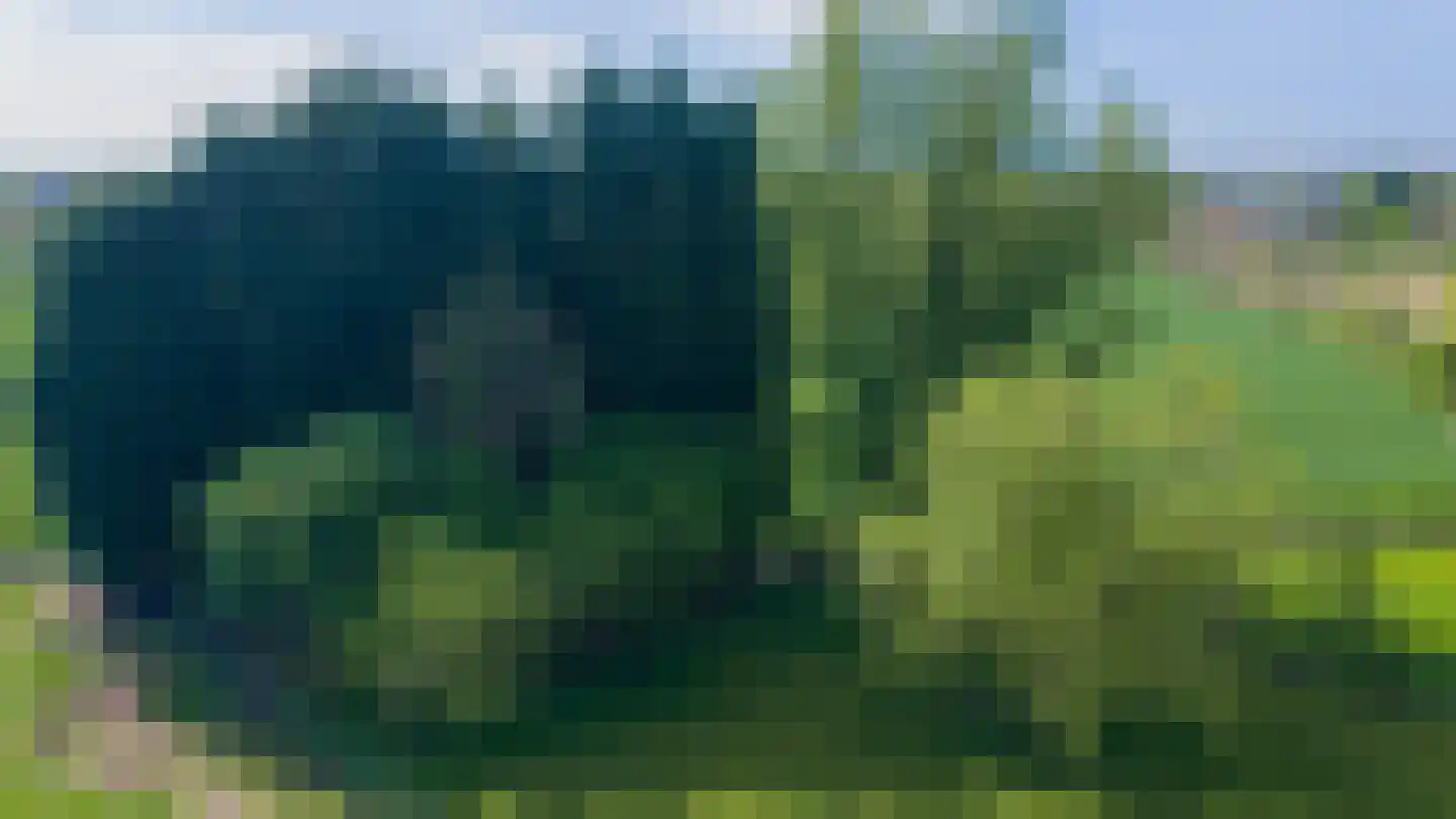 Kruisstraat 50 Gendt thumbnail 63