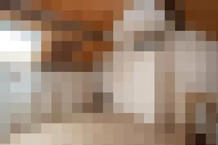 Kruisstraat 55 Reusel thumbnail 26