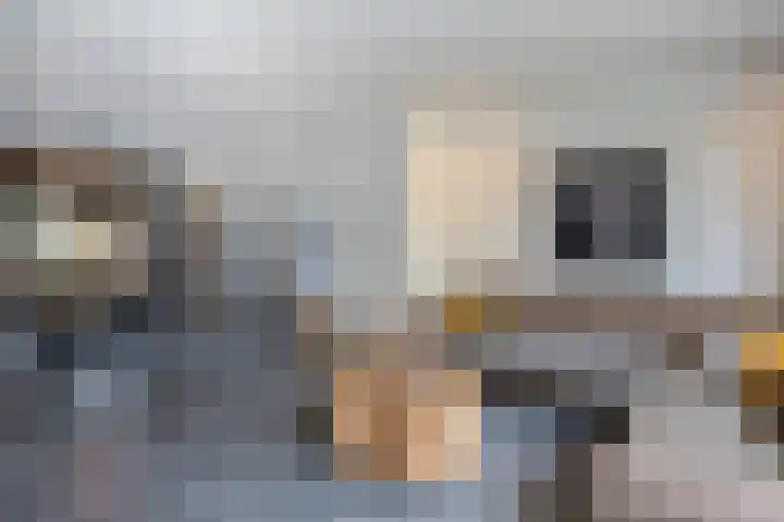 Kruisstraat 55 Reusel thumbnail 7